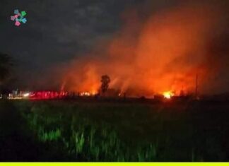 জাতিসংঘের সদর দপ্তরে হিউম্যাইন ফার্স্ট মুভমেন্ট এর প্রতিবাদলিপি প্রদান