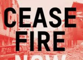 Urgent call for an immediate ceasefire by all parties to end unprecedented civilian suffering in Israel-Palestine conflict